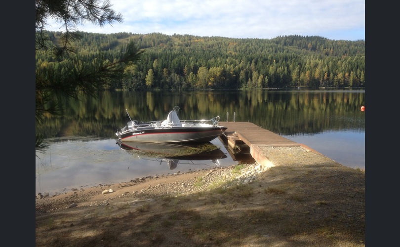 Silver Shark 580CC-kuva-11